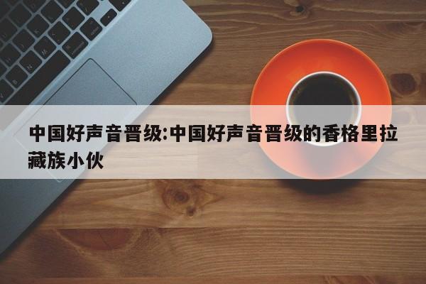 中国好声音晋级:中国好声音晋级的香格里拉藏族小伙