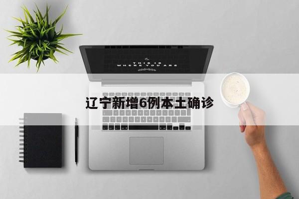 辽宁新增6例本土确诊