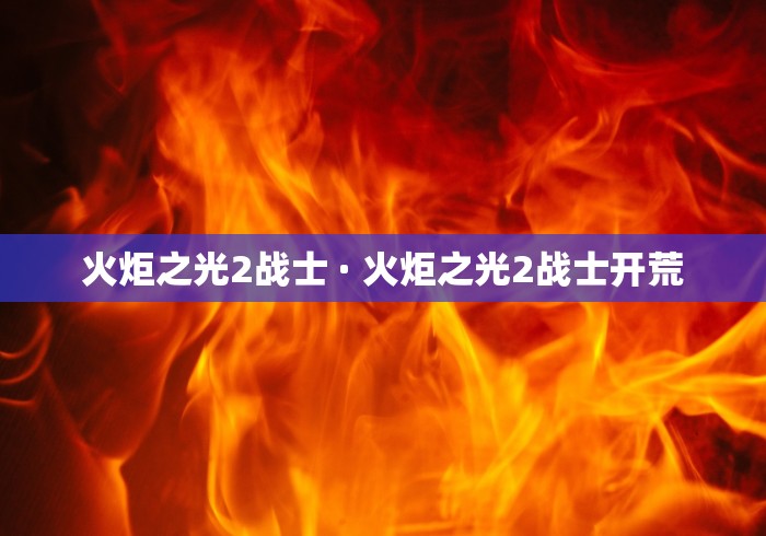 火炬之光2战士 · 火炬之光2战士开荒