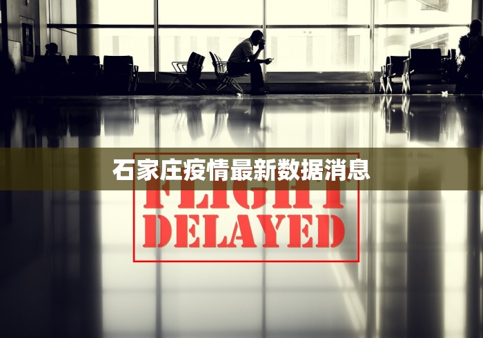 石家庄疫情最新数据消息