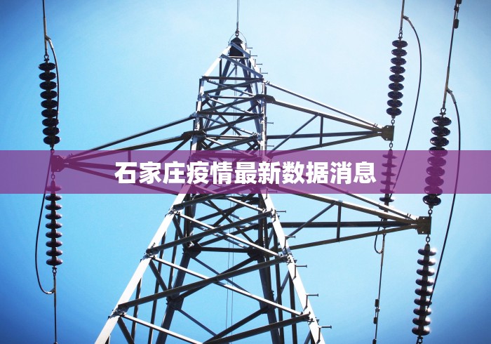 石家庄疫情最新数据消息