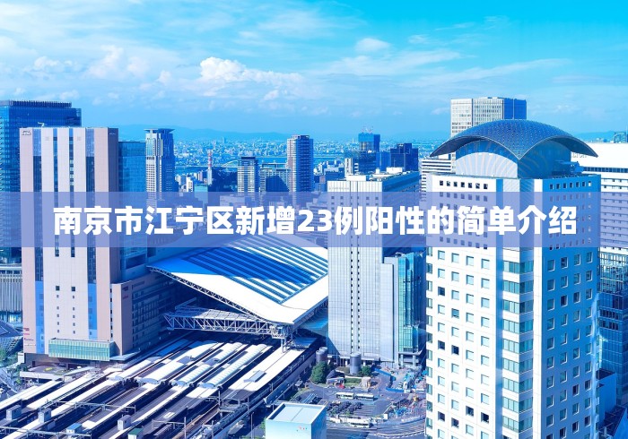南京市江宁区新增23例阳性的简单介绍