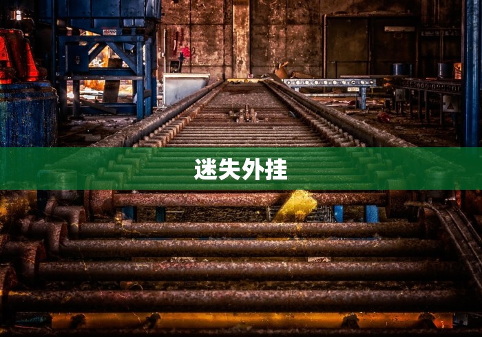 迷失外挂