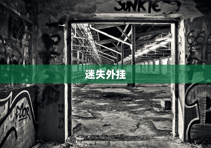 迷失外挂