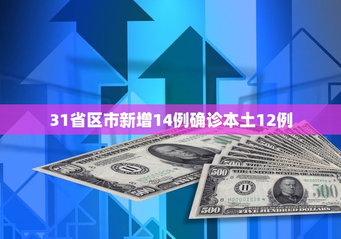31省区市新增14例确诊本土12例