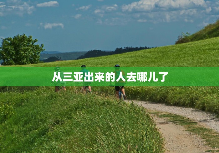 从三亚出来的人去哪儿了