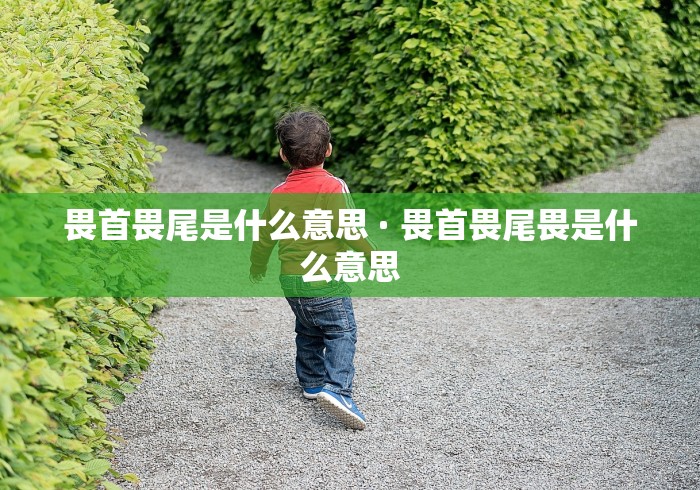 畏首畏尾是什么意思 · 畏首畏尾畏是什么意思
