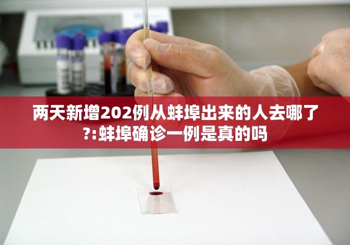 两天新增202例从蚌埠出来的人去哪了?:蚌埠确诊一例是真的吗
