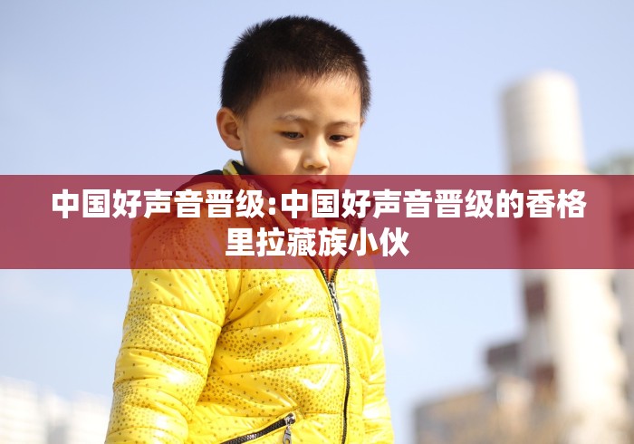 中国好声音晋级:中国好声音晋级的香格里拉藏族小伙
