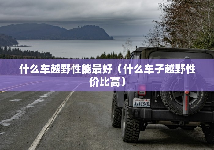 什么车越野性能最好（什么车子越野性价比高）