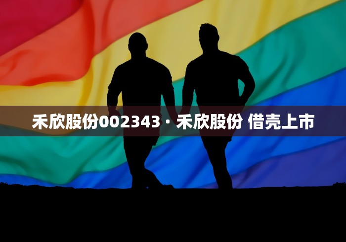 禾欣股份002343 · 禾欣股份 借壳上市